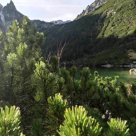 Ania Wynajem Pokoi Privatunterkunft Zakopane