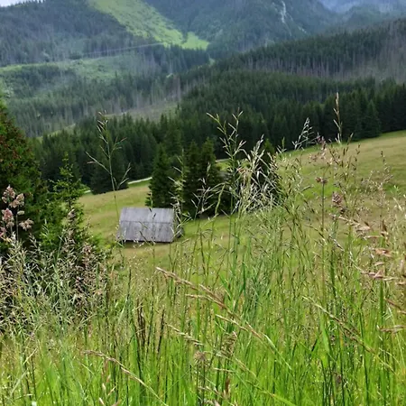 Privatunterkunft Ania Wynajem Pokoi Zakopane